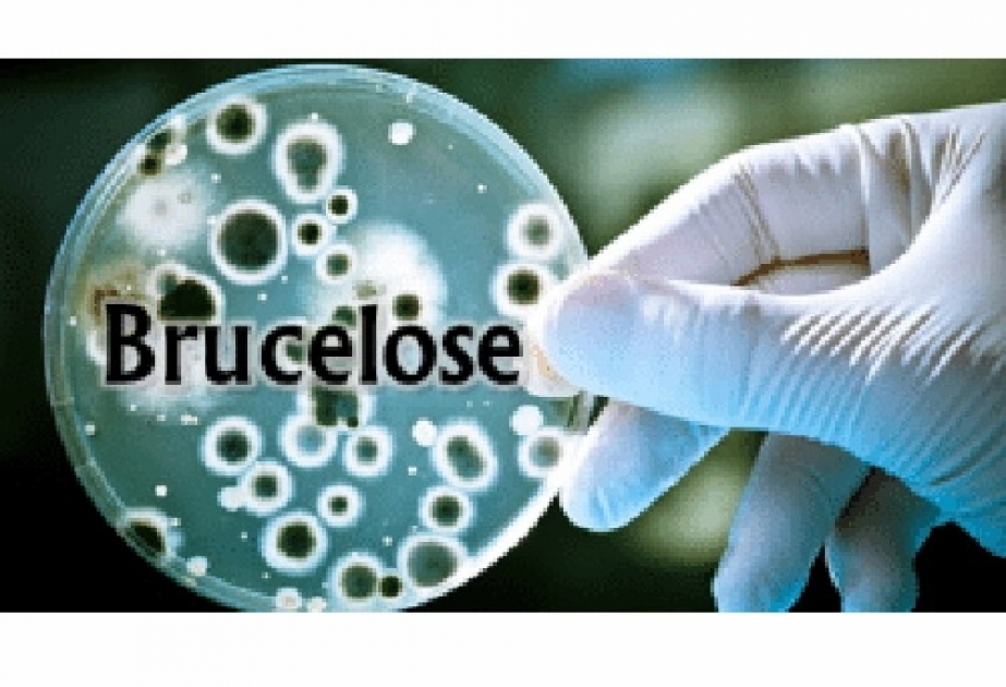 Qu'est-ce que la brucellose ?
