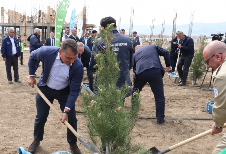 Dövlət Turizm Agentliyinin əməkdaşları Ağdamda ekoloji aksiyada iştirak ediblər