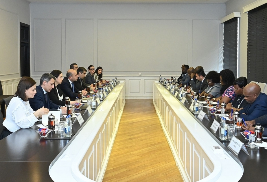 Oportunidades de cooperación entre Azerbaiyán y los países africanos se discuten en la UNESCO