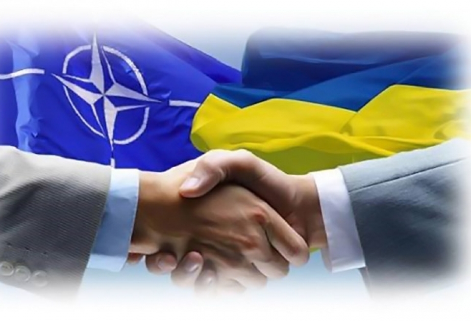 Ukrayna NATO-nun Vilnüs sammitindən nə gözləyir