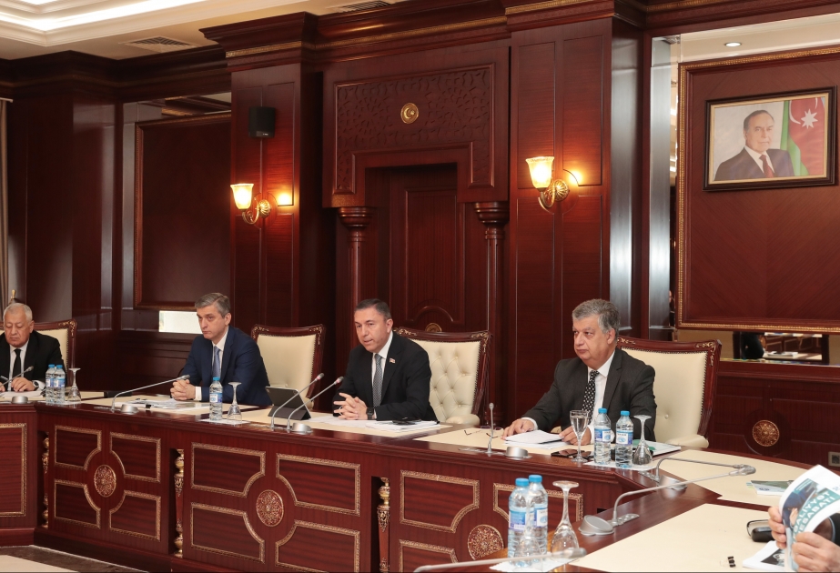 Tahir Mirkişili: Pozuntuların baş verməməsi üçün səmərəlilik auditi çox önəmlidir