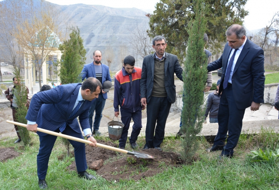Daşkəsəndə “Heydər Əliyev İli” çərçivəsində 300-dən çox ağac əkilib