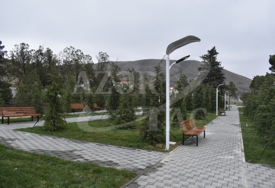В городе Физули будет применен подход Blue zone