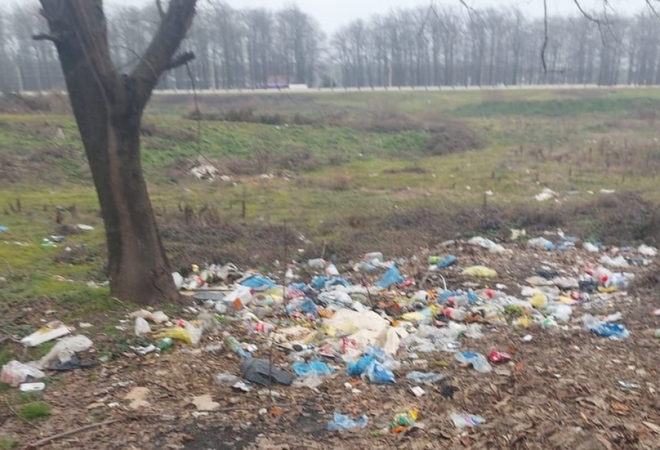 Masallıda ətraf mühitin mühafizəsi tələblərinə əməl edilməməsi faktları aşkarlanıb