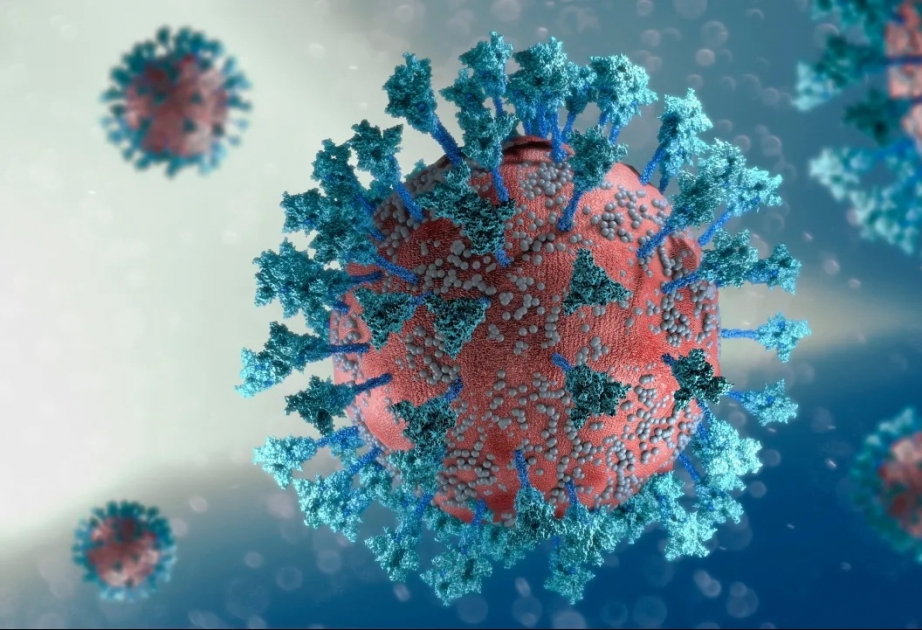 Coronavirus in Aserbaidschan: Mehr Geheilte als Infizierte am Dienstag
