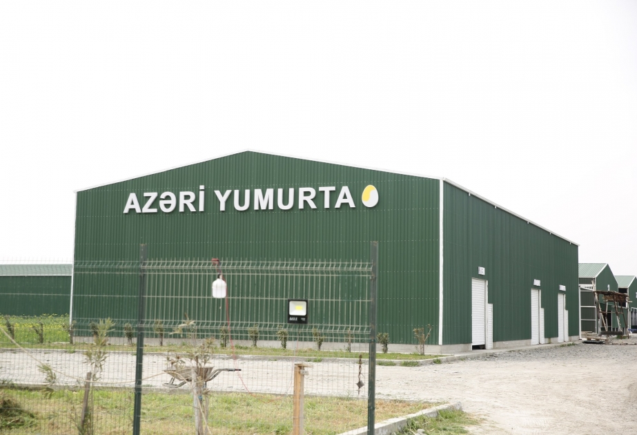 Xaçmazda istehsal gücü 100 min yumurta olan yeni müəssisə tikilir