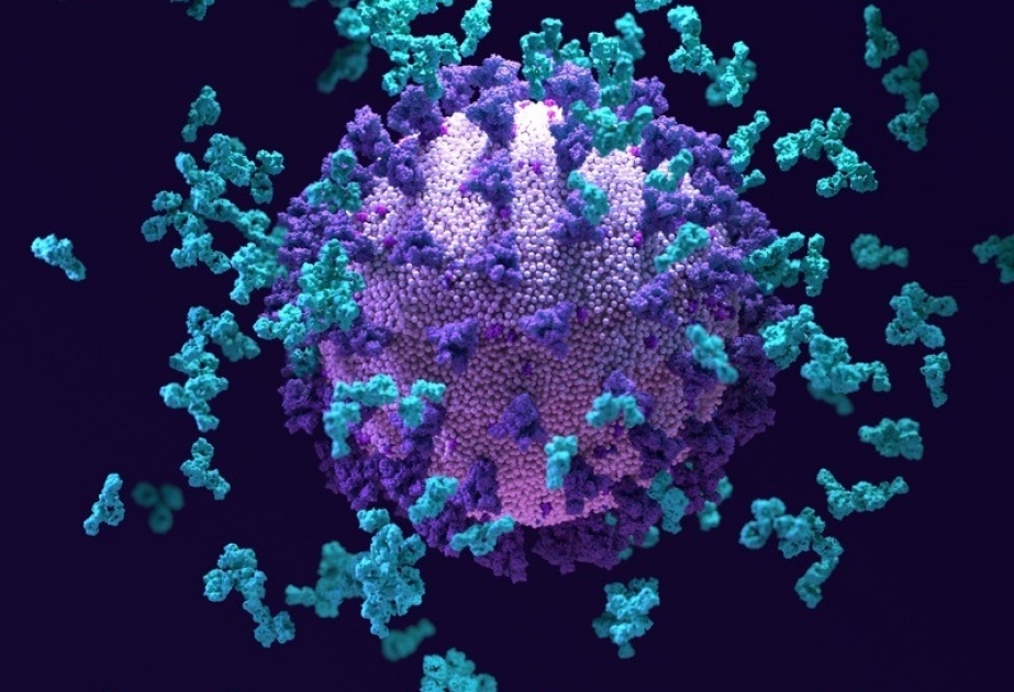 Coronavirus in Aserbaidschan: Bislang wurden insgesamt 7. 572.070 Corona-Tests durchgeführt