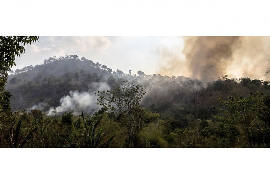 Waldbrand in berühmten Nationalpark in Thailand