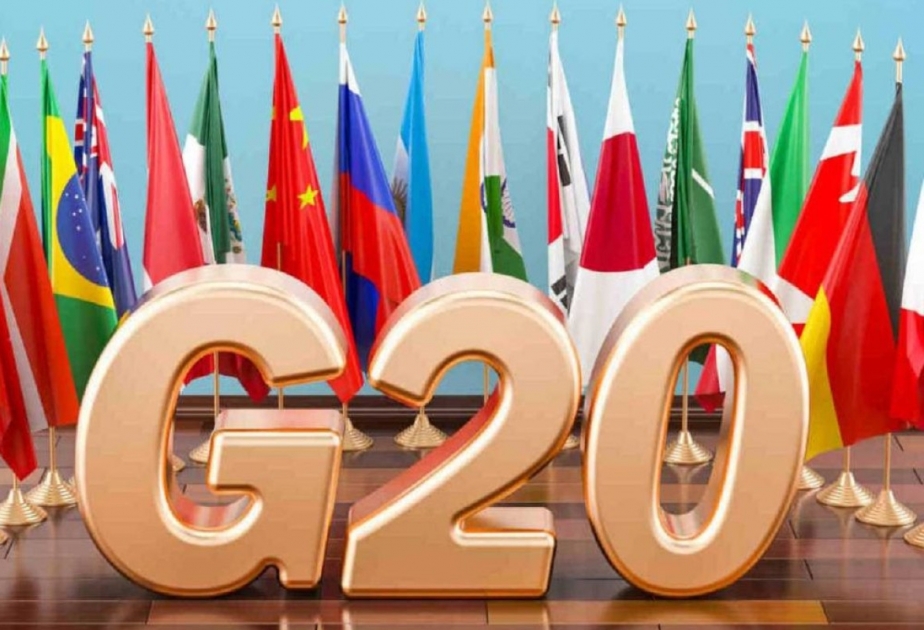 Hindistan Volodimir Zelenskini G20 sammitinə dəvət etməyib