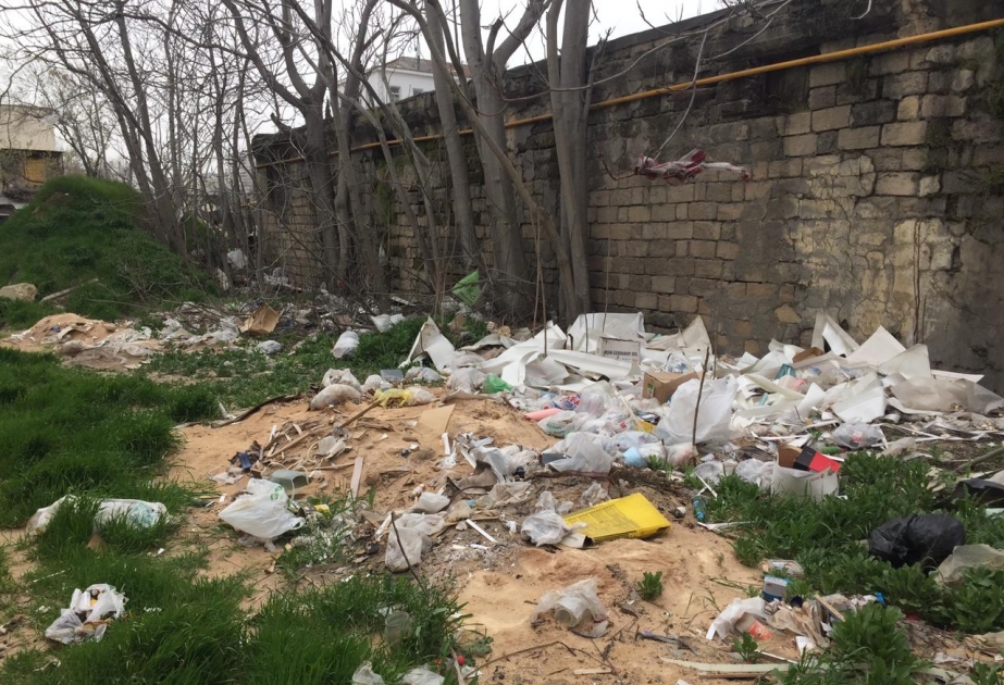 Neftçalada ətraf mühitin mühafizəsi tələblərinə əməl edilməməsi faktları aşkarlanıb