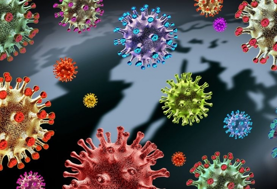 Coronavirus in Aserbaidschan: 88 neue Fälle in 24 Stunden
