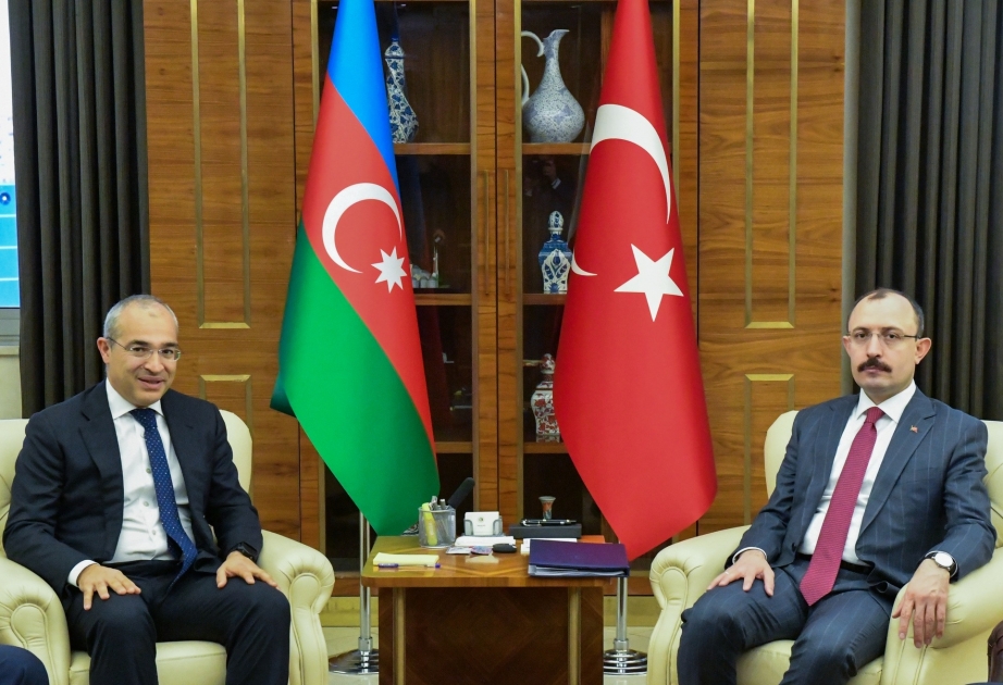 Azərbaycan Türkiyə ilə birgə layihələri müzakirə edib