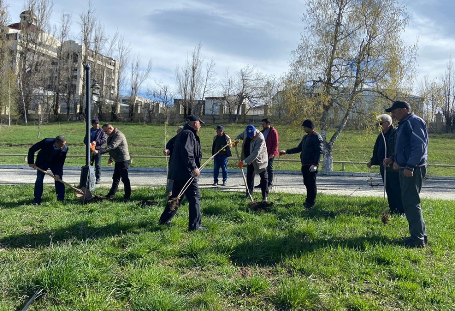 Ulu Öndərin 100 illik yubileyi münasibətilə rəsədxana ərazisində 200-dən çox ağac əkilib