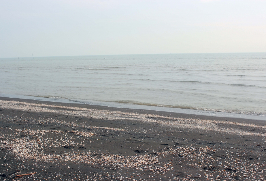 Уровень воды в Каспийском море снижается – какие могут быть последствия?