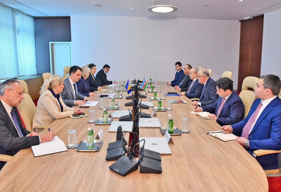 讨论阿塞拜疆与波黑经济合作的发展