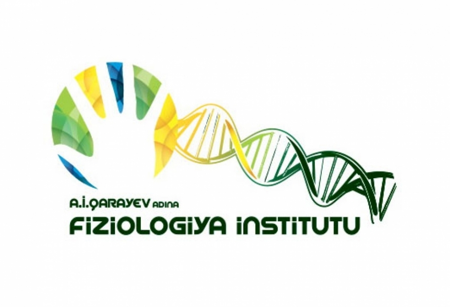 Fiziologiya İnstitutu: Sarıkök məhlulu vizual yaddaşı bərpa edir