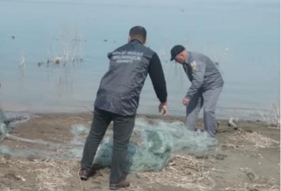 “Hövzələri sintetik torlardan birlikdə təmizləyək” layihəsi çərçivəsində 49 ədəd sintetik tor yığışdırılıb