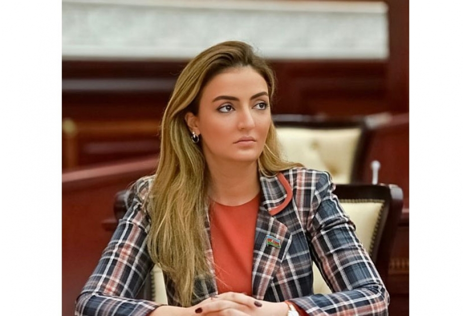 Fransanın yersiz müdaxilələri Ermənistanı yeni təxribatlara həvəsləndirir