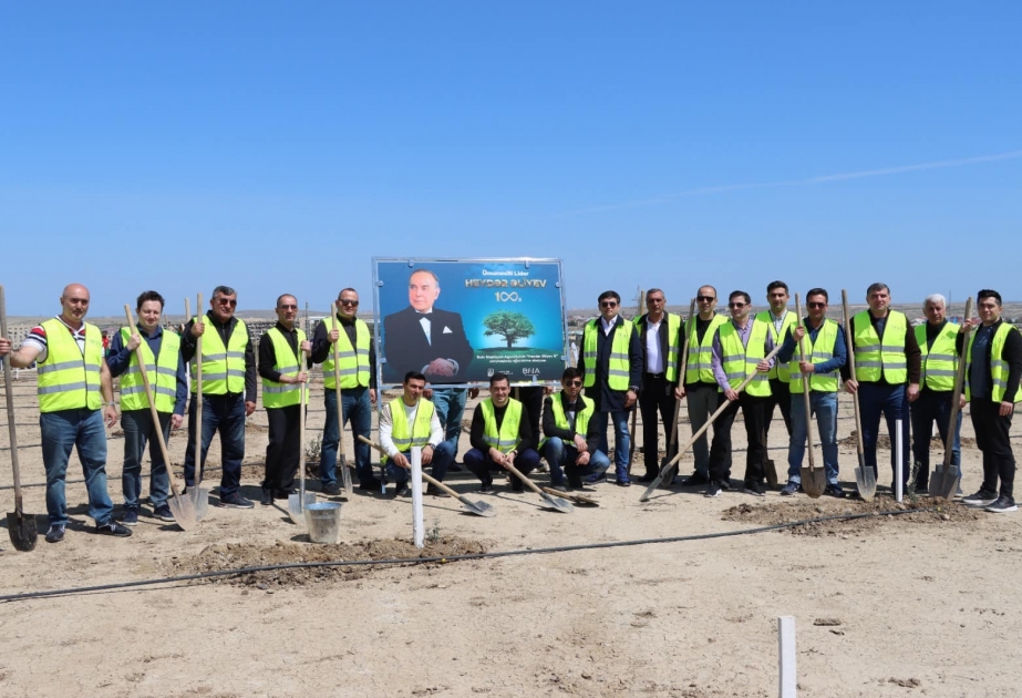 Bakı Nəqliyyat Agentliyindən “Heydər Əliyev İli” çərçivəsində ağacəkmə aksiyası