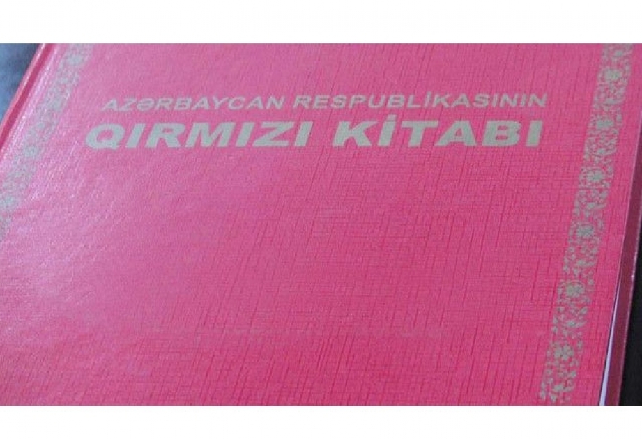 Aprelin sonunadək “Qırmızı kitab”ın üçüncü nəşri ictimaiyyətə təqdim olunacaq