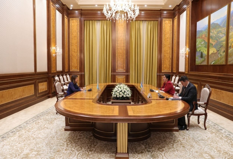 International Turkic Culture and Heritage Foundation, Uzbekistan discuss joint projects