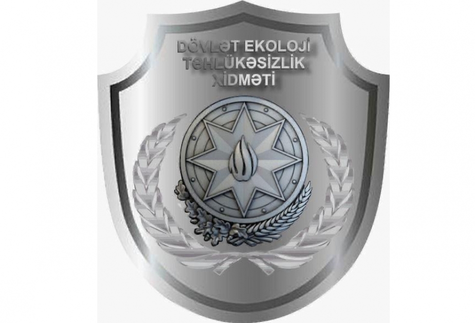 Bakı, Qəbələ və Şəmkirdə ağacların qanunsuz kəsilməsi faktı aşkarlanıb