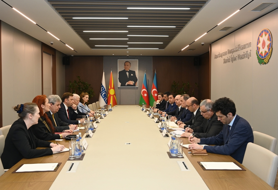 讨论阿塞拜疆与北马其顿合作的问题