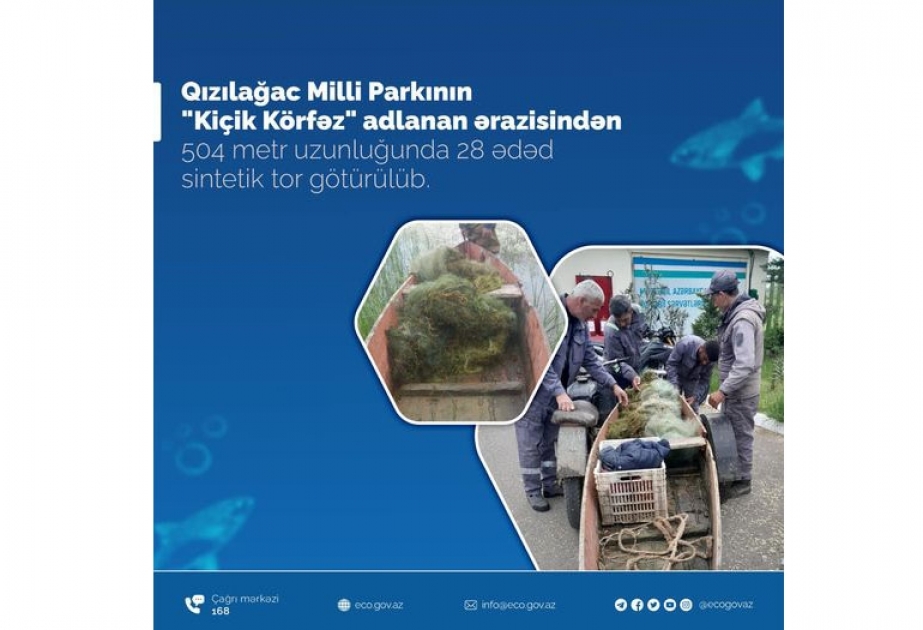 Qızılağac Milli Parkının “Kiçik Körfəz” adlanan ərazisindən 504 metr uzunluğunda sintetik tor götürülüb