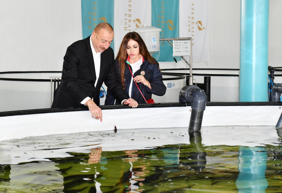 Familiarización con las condiciones creadas en "Azerbaijan Fish Farm LLC" en Yenikend