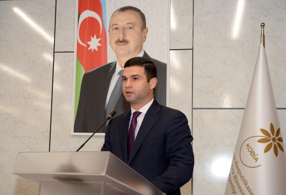 La Agencia de Desarrollo de Pequeñas y Medianas Empresas de Azerbaiyán establece las 65 casas de huéspedes rurales