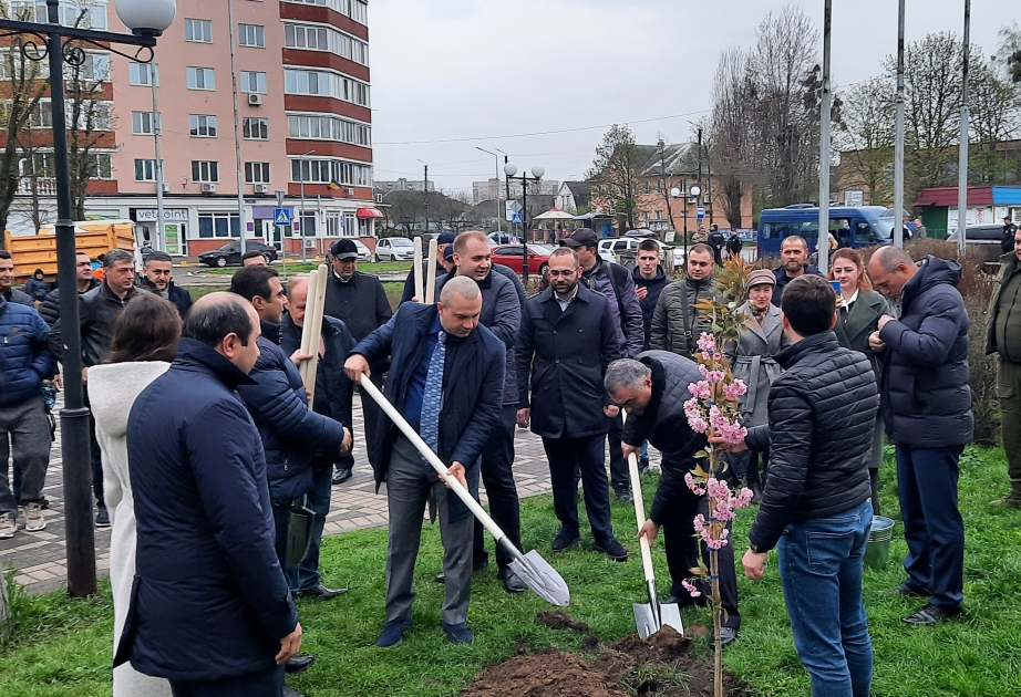Ulu Öndərin 100 illiyi münasibətilə Kiyevdə Sakura ağacları əkilib VİDEO