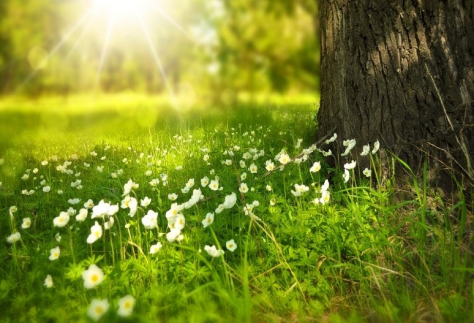 Sabah bəzi yerlərdə havanın temperaturu 27 dərəcəyə yüksələcək