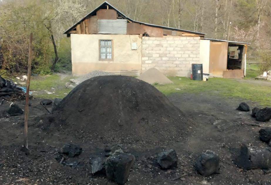 Qanunsuz kömür istehsal edilən quyular aşkarlanıb