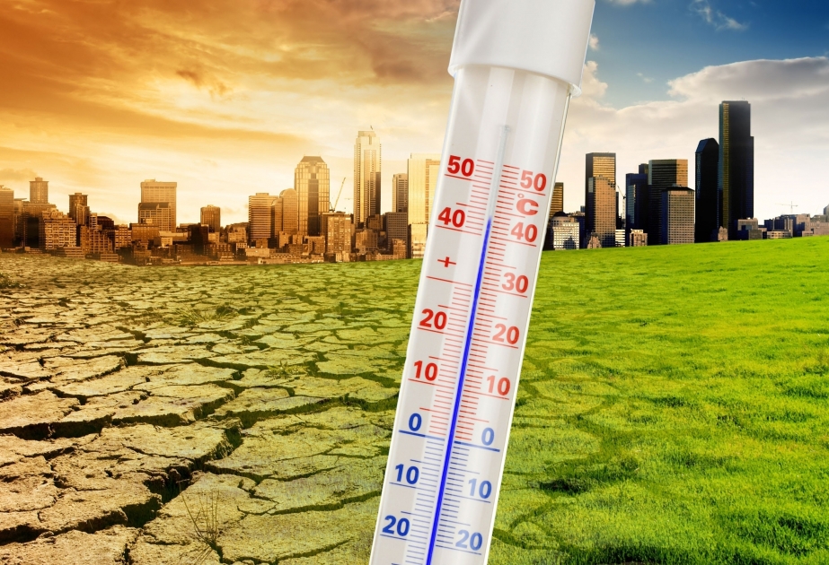 2015-2022 fueron los ocho años más cálidos desde 1850: Informe sobre el estado del clima mundial 2022
