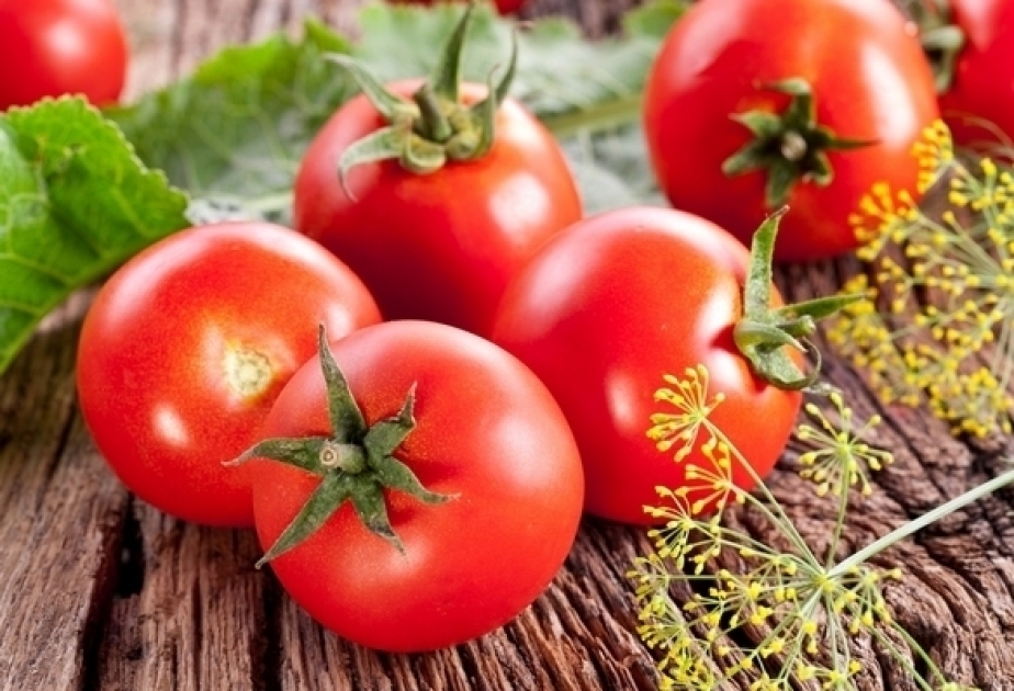 Pomidorun tərkibindəki likopin xərçəngdən müdafiə edir