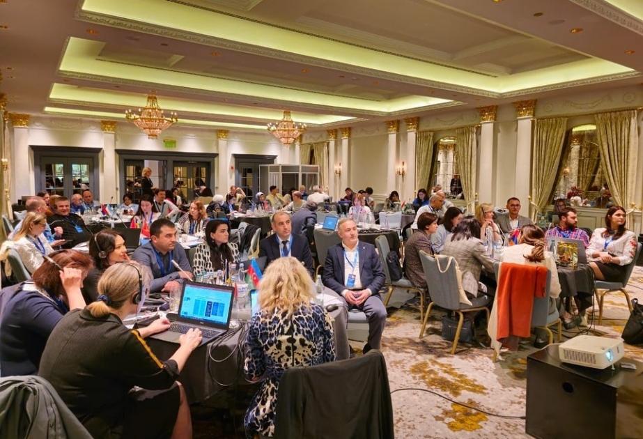 Azərbaycanlı həkimlər Tbilisidə İİV infeksiyası ilə bağlı keçirilən regional seminarda iştirak edirlər