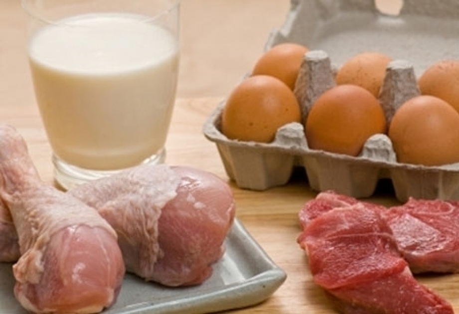 FAO: “La carne, los huevos y la leche son las principales fuentes de nutrientes”

