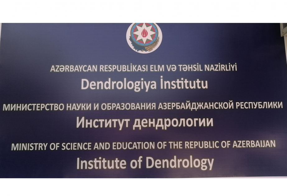 Dendrologiya İnstitutu 35 xarici ölkənin botanika bağları ilə əməkdaşlıq edir