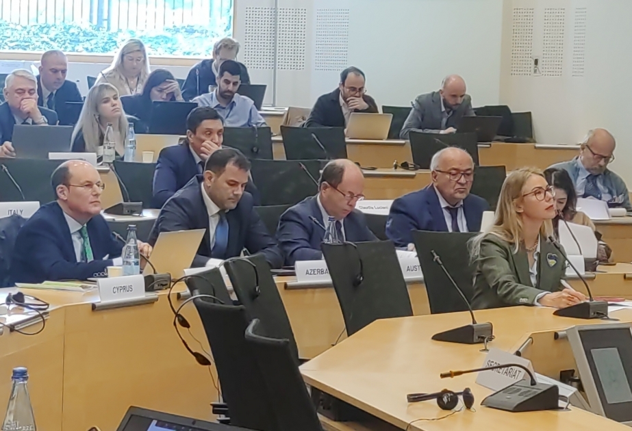 L’Azerbaïdjan est représenté à une conférence du Comité européen sur la démocratie et la gouvernance