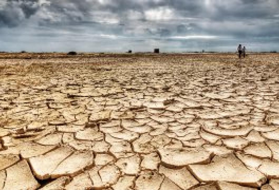 Spain facing food shortages as severe drought leads to crop failure