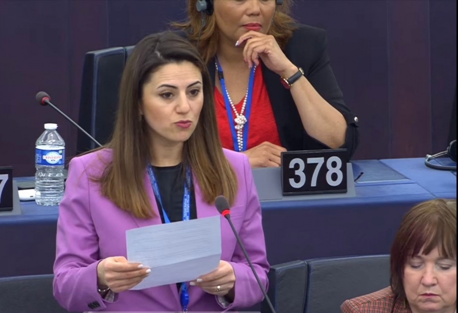 Deputat: İqlim dəyişikliyi sülh və təhlükəsizliyə təhdidi artırır