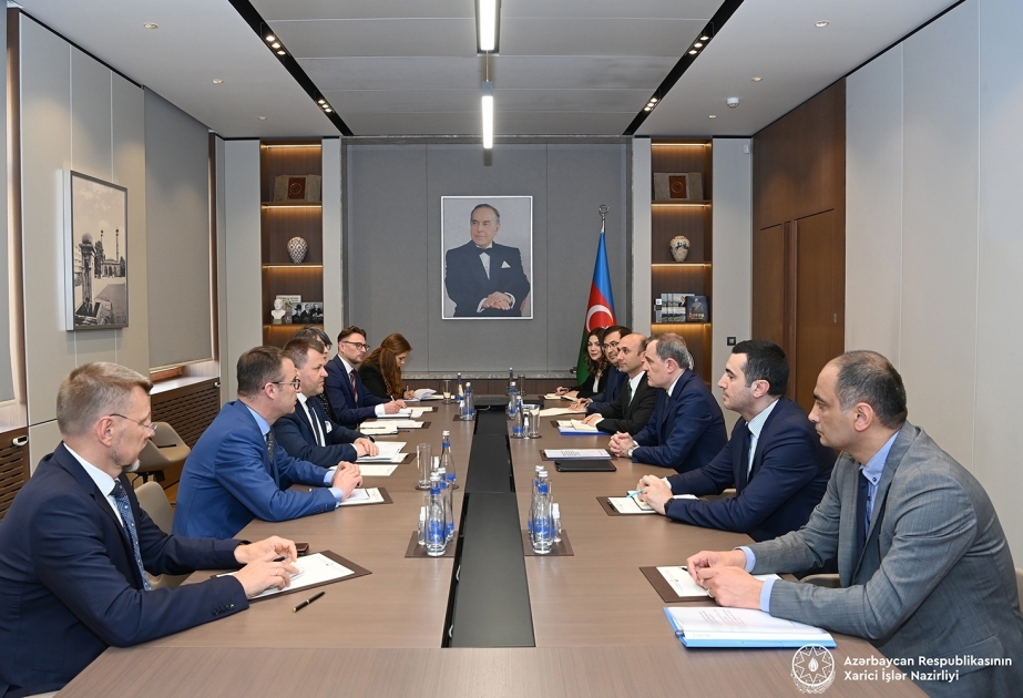 Azerbaijani FM informs Lithuanian vice minister about current situation in the region