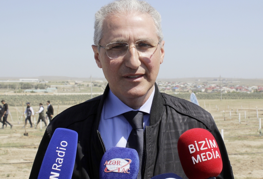 Nazir: İnanırıq ki, bütün vətəndaşlar ağacəkmə aksiyalarında daha fəal iştirak edəcəklər