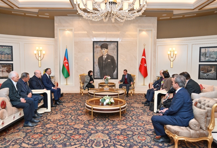 Milli Məclisin sədri Sahibə Qafarova Türkiyəyə səfər edib