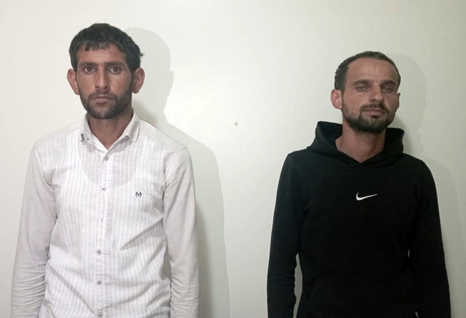 Şirvanda narkotik tərkibli bitkilərin kultivasiyası ilə məşğul olan iki nəfər saxlanılıb