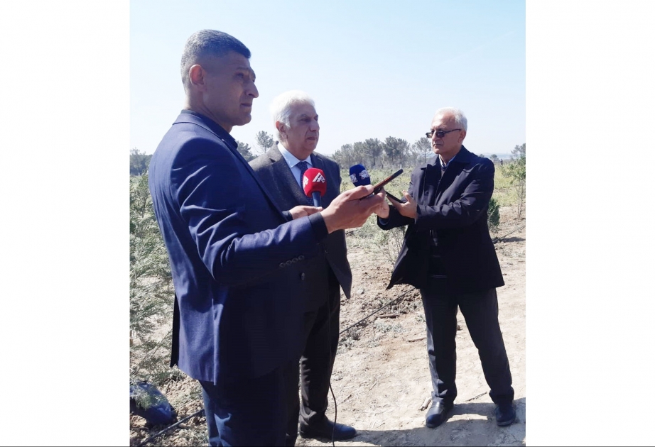 Ümummilli Lider yaşıllıqların salınmasına böyük önəm verirdi