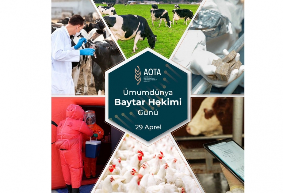 Aprelin 29-u Beynəlxalq Baytar Həkimi Günüdür