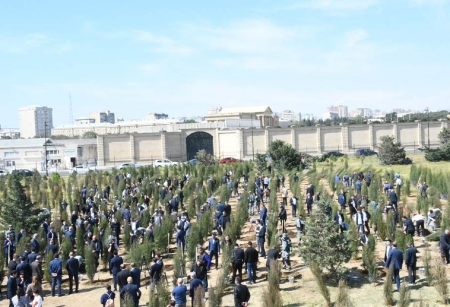 Ümummilli Liderin 100 illik yubileyi ilə əlaqədar ağacəkmə aksiyası keçirilib