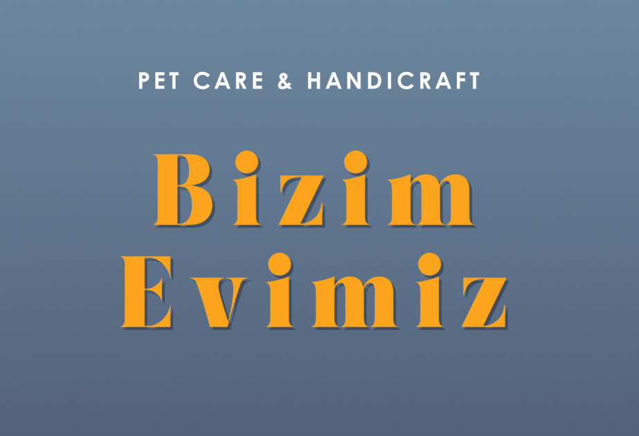 В Баку пройдет фестиваль помощи бездомным животным Bizim evimiz
