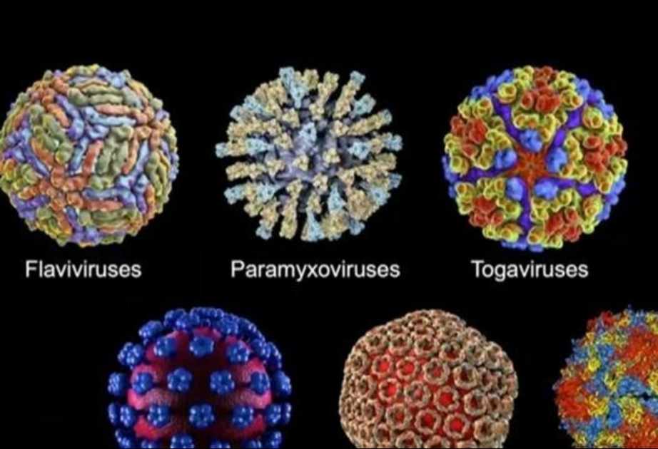 Coronavirus: Aserbaidschan meldet 26 neue Fälle